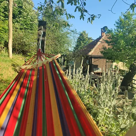 Holiday home Kikovi *