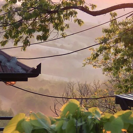 Holiday home Kikovi *