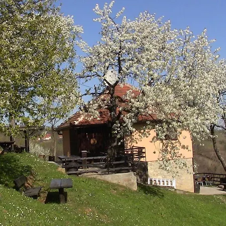 Holiday home Kikovi *