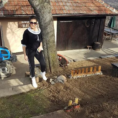 Holiday home Kikovi *